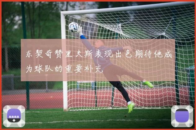 东契奇赞里夫斯表现出色期待他成为球队的重要补充